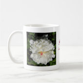 nahe Päonia lactiflora Kaffeetasse (Links)