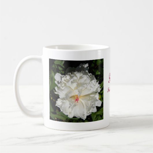 nahe Päonia lactiflora Kaffeetasse (Links)