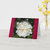 nahe Päonia lactiflora Karte (Gelbe Blume)