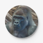 Nahe Papierplatte Pappteller (Vorderseite)