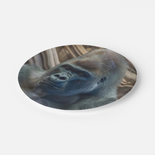 Nahe Papierplatte Pappteller (Schrägansicht)