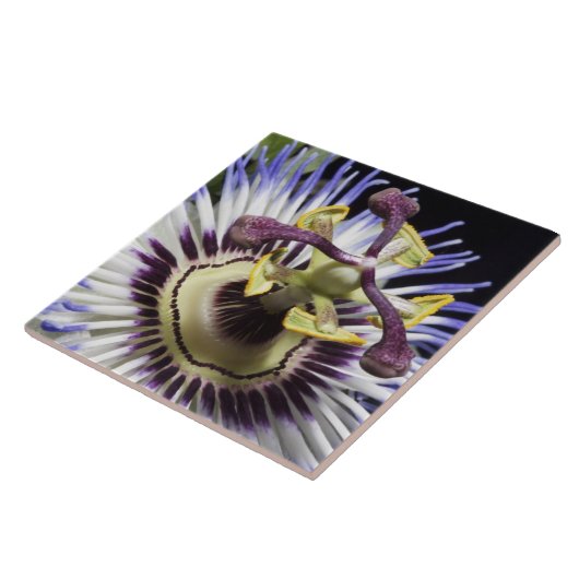 nahe Passionblume (MR) Fliese (Seite)