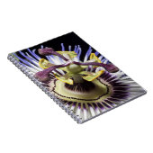 nahe Passionblume (MR) Notizblock (Rechte Seite)