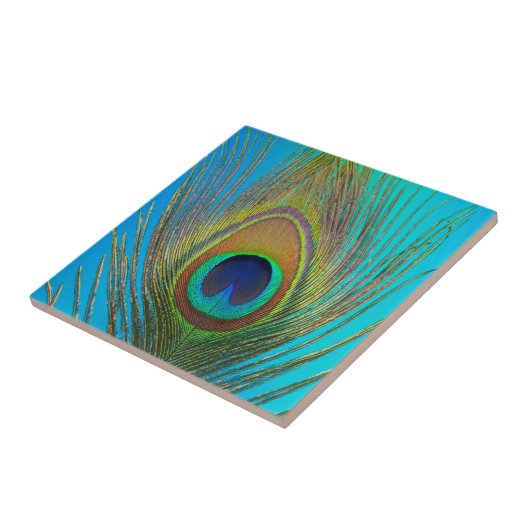 Nahe Pfauenfeder Fliese (Seite)