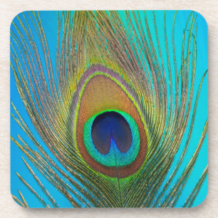 Nahe Pfauenfeder Getränkeuntersetzer