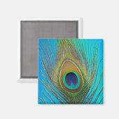 Nahe Pfauenfeder Magnet (Vorderseite/Rückseite)