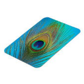 Nahe Pfauenfeder Magnet (Linke Seite)