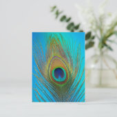 Nahe Pfauenfeder Postkarte (Stehend Vorderseite)