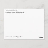 Nahe Postkarte anzeigen (Rückseite)