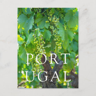 Nahe Reifung von Trauben Postkarte