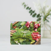 Nahe Rhabarbernsträucher im Korb Postkarte (Stehend Vorderseite)