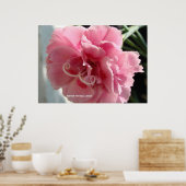 Nahe rosa Narben Poster (Küche)