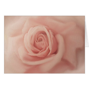 Nahe rosa Rosenkarten