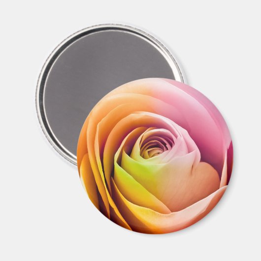 Nahe Rose Petals Magnet (Vorderseite/Rückseite)
