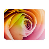 Nahe Rose Petals Magnet (Horizontal)