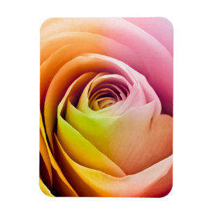 Nahe Rose Petals Magnet