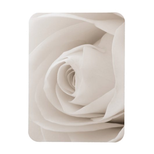 Nahe Rosenblätter Magnet (Vertikal)