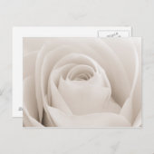 Nahe Rosenblätter Postkarte (Vorne/Hinten)