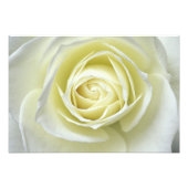 Nahe Rosendetails Fotodruck (Vorne)