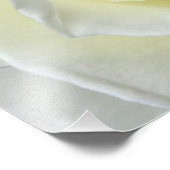 Nahe Rosendetails Fotodruck (Ecke)