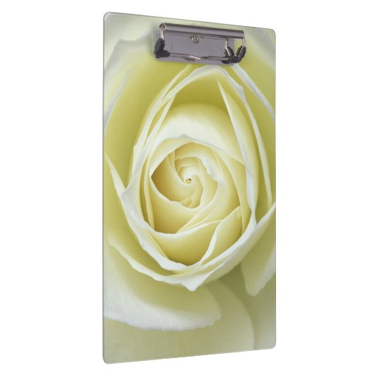 Nahe Rosendetails Klemmbrett (Rechts)