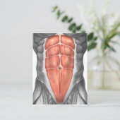 Nahe Sicht auf männliche Bauchmuskeln Postkarte (Stehend Vorderseite)