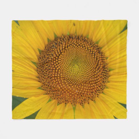 Nahe Sonnenblume Fleecedecke (Vorderseite (Horizontal))