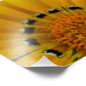 Nahe Sonnenblume Fotodruck (Ecke)