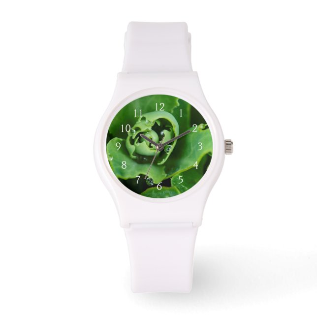 Nahe, sukkulente Pflanze mit Wassertröpfchen Armbanduhr (Vorderseite)