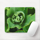 Nahe, sukkulente Pflanze mit Wassertröpfchen Mousepad (Mit Mouse)