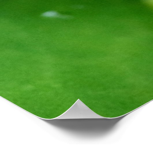 Nahe, sukkulente Pflanze mit Wassertröpfchen Poster (Ecke)