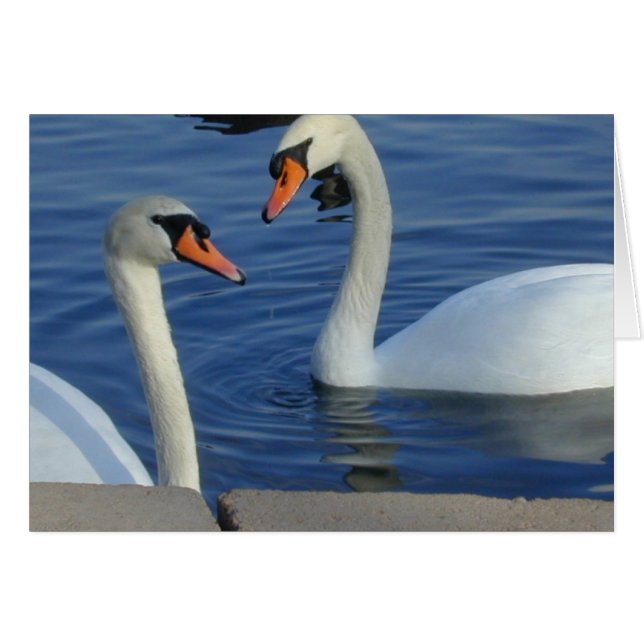 Nahe Swan-Karte (Vorderseite (Horizontal))