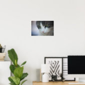 Nahe Tablette und weiße Katze Poster (Heimbüro)