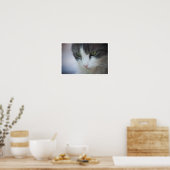 Nahe Tablette und weiße Katze Poster (Küche)