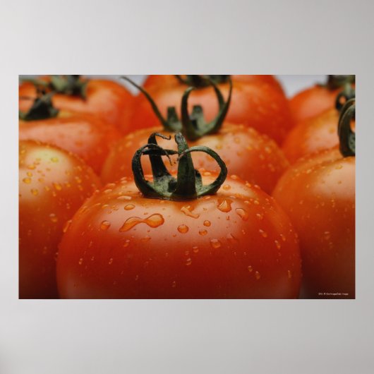 Nahe Tomaten/Paradeiser 2 Poster (Vorne)