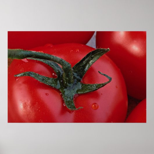 Nahe Tomatenzucht Poster (Vorne)