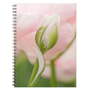 Nahe Tulpe- und Knospen Notizblock