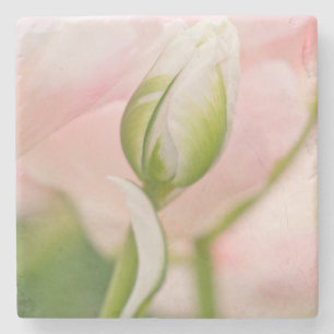 Nahe Tulpe- und Knospen Steinuntersetzer