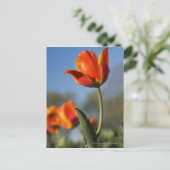 Nahe Tulpenbildung bei Blume Postkarte (Stehend Vorderseite)