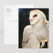 Nahe Uhzucht Postkarte (Vorne/Hinten)