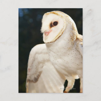 Nahe Uhzucht Postkarte