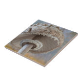 Nahe Unterseite des Pilzes Fliese (Seite)