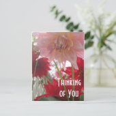 Nahe Up Dahlia Blume in rosa und roter Postkarte (Stehend Vorderseite)