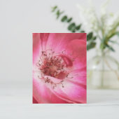 Nahe Vintage Rosa Rose Postkarte (Stehend Vorderseite)