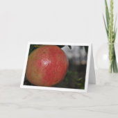 Nahe von Granatobst auf Baum Karte (Vorderseite)