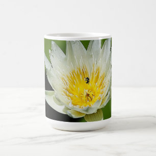 Nahe White Water Lily Blume und Biene Tasse