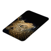 Nahen aus Leopard, Greater Krüger National Magnet (Linke Seite)