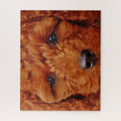 Nahen eines Red Poodle Puppy Puzzle (Vertikal)
