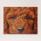Nahen eines Red Poodle Puppy Puzzle (Horizontal)