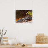 Nahen von einem amerikanischen Alligator am J.N. Poster (Küche)